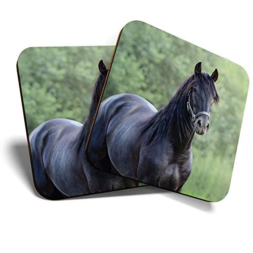 Great Coasters (Set de 2) Posavasos cuadrado/brillante de calidad para cualquier tipo de mesa, Stallion de caballo andaluz # 12494